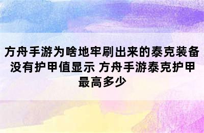 方舟手游为啥地牢刷出来的泰克装备没有护甲值显示 方舟手游泰克护甲最高多少